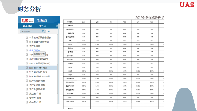 财务分析